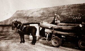 Eggermühlener Dorfimpressionen 2026