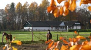 Eggermühlener Dorfimpressionen 2026