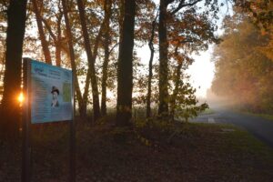 Galeriebild
