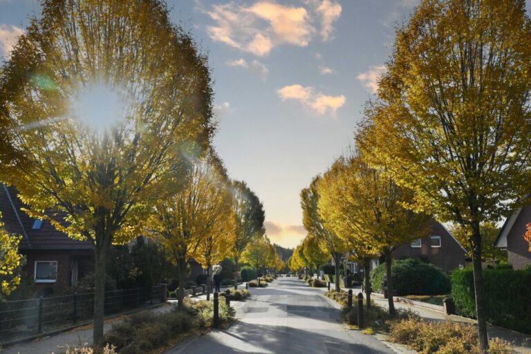 Dat Neieste – Oktober 2026