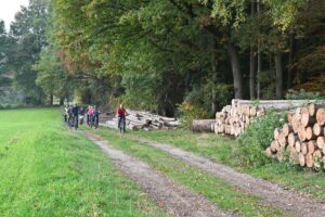 Galeriebild