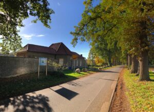 Galeriebild