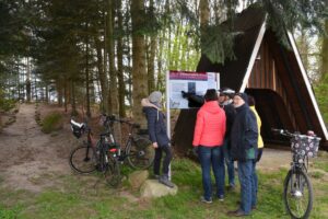 Galeriebild