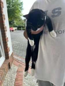 Fundkatze