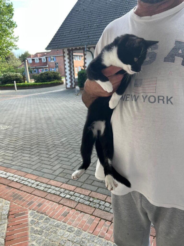 Fundkatze