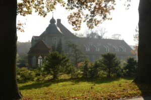 Galeriebild