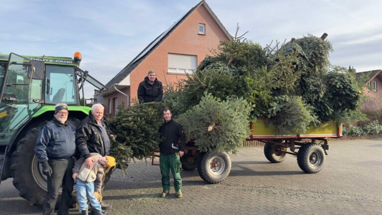 Tannenbaum-Aktion erbrachte 3178,- Euro